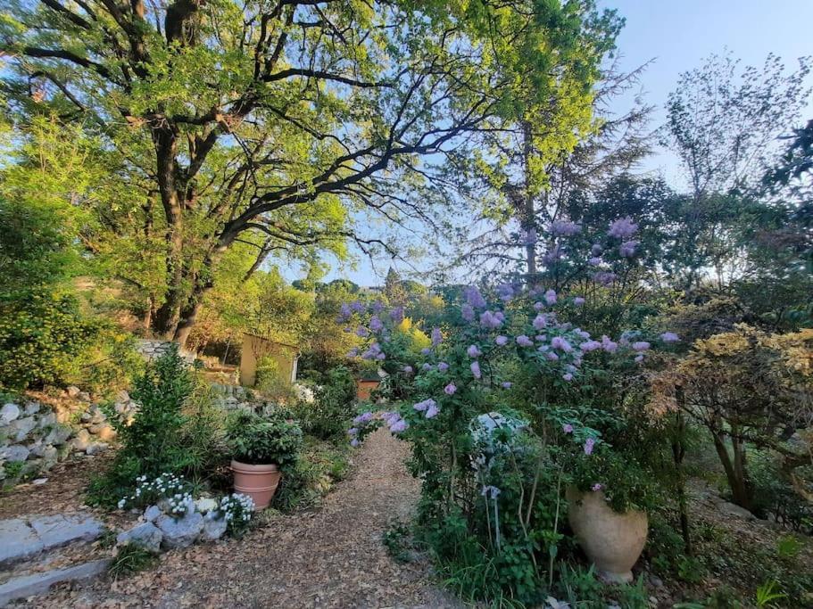 Domaine Des Petites Soeurs A 800M Du Centre Historique Avec 5200M2 De Parc Arbore Vence Exterior photo