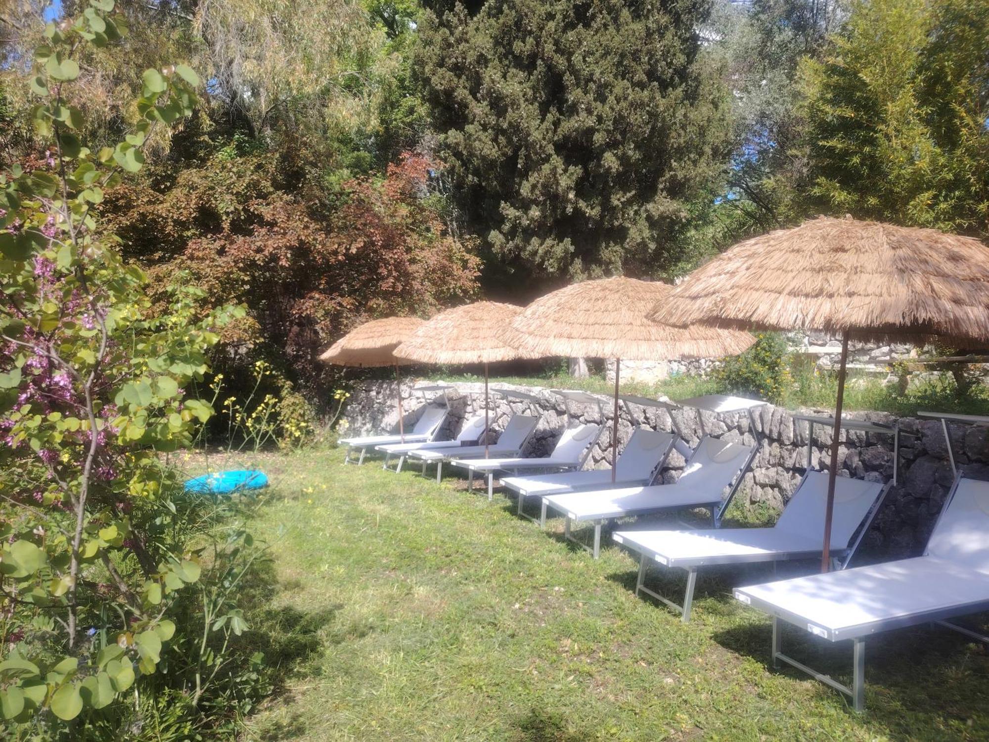 Domaine Des Petites Soeurs A 800M Du Centre Historique Avec 5200M2 De Parc Arbore Vence Exterior photo